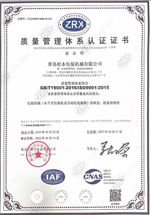 ISO 9001 