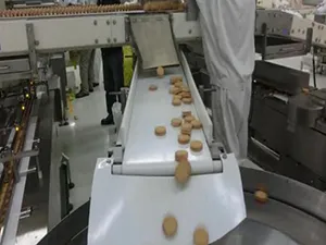Автоматическая упаковочная система с двумя роторными питателями